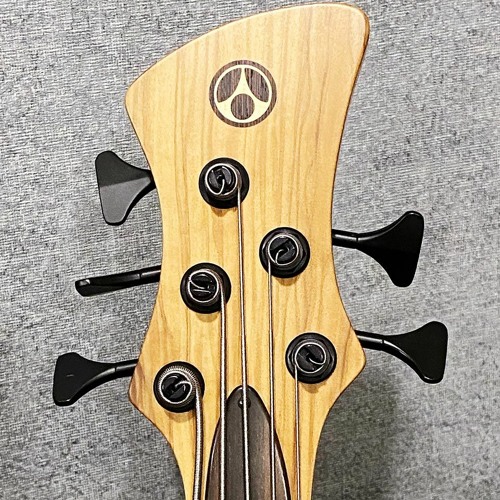 Adamovic Bass Humbacking pickups parallel connecting