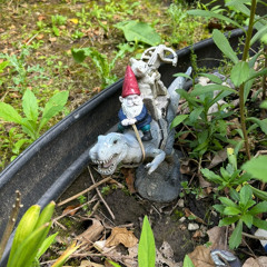 Anotha Day // Anotha Dolla