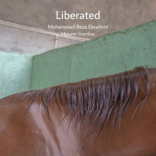 Liberated (Mohammad Reza Ebrahimi & Hesam Inanlou)