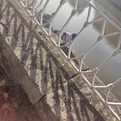 come with me tmr 0 0 .wav