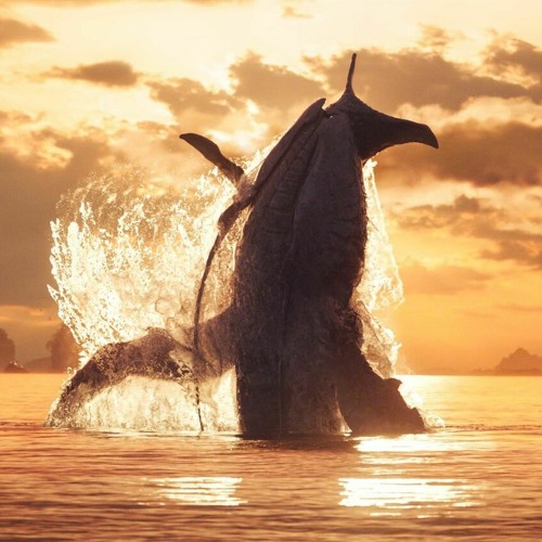Avatar 2 The Way of Water Soundtrack (Matteo's Extended Mix)