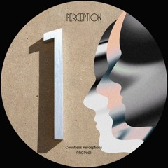 PREMIERE: Nik Nazarov - Take a Moment [Perception 知覺]