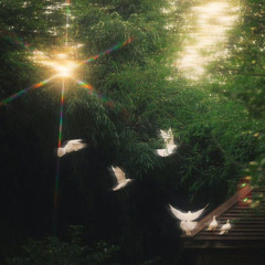 in a perfect world… (prod.22nate)