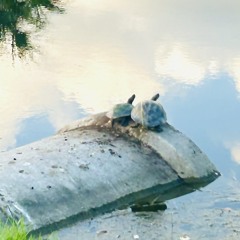 Ballad_Of_Romance (April 2025 demo)