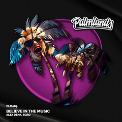 Alex Denk, SGRO - Believe in the Music (Streaming Edit) [Palmlands Records]