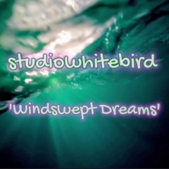 Windswept Dreams