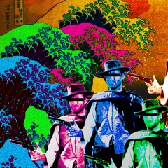 The Surfin Acid Cowby (Demo)