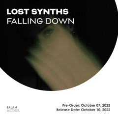 Lost Synths - Falling Down