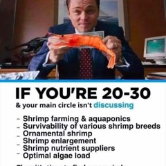 i dont wanna go to the store