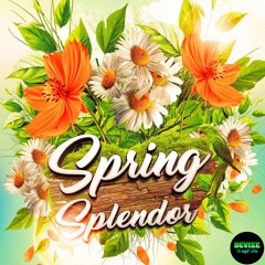 Spring Splendor Drum Kit Audio Demo