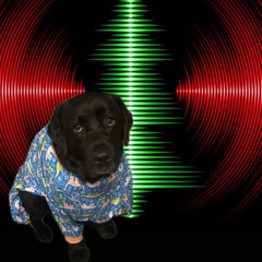 Jingle Bell Rave
