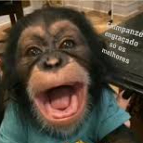 minimix to na treta b2b soarez