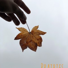 Prairies (prod. oddwin)