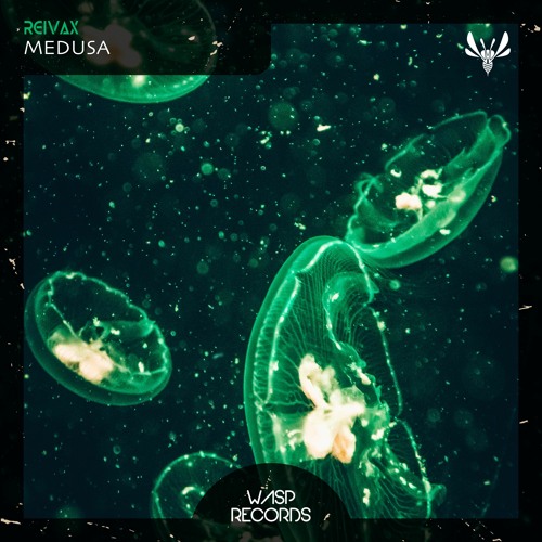 Reivax - Medusa (Original Mix) ★ OUT NOW ON BEATPORT ★
