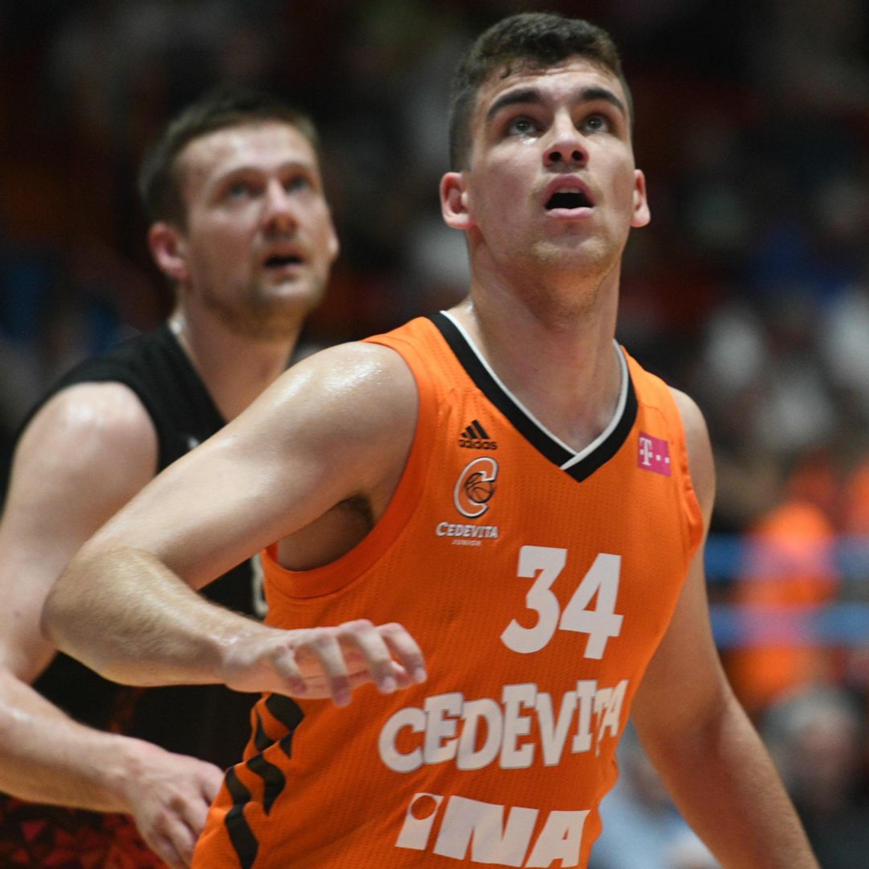 kkcedevita