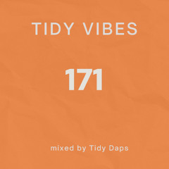 Tidy Vibes 171