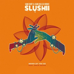 Slushii Feat. Sofia Reyes - Never Let You Go (Sam Ourt & Juan Dileju Remix)
