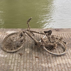 يا دار عزّيني, يا غراب البين انعيني