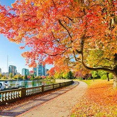 Mùa Thu Ở Melbourne (Autumn In Melbourne)