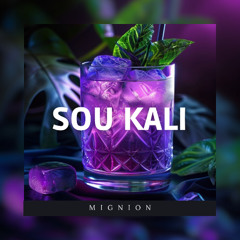 SOU KALI - [ MIGNION ] F3A _ 2025