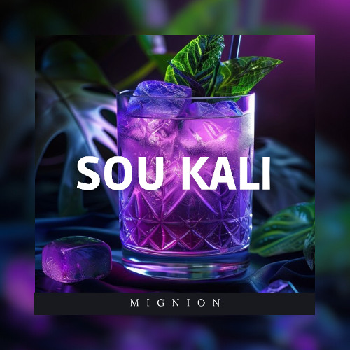 SOU KALI - [ MIGNION ] F3A _ 2025