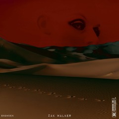 SNOWDEN (PROD ZAK WALKER & LACEBOB)