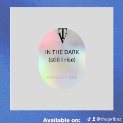 in the dark (still i rise).mp3