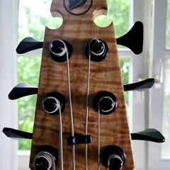 Bach Six String Skjold Fun