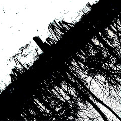 ROOTS