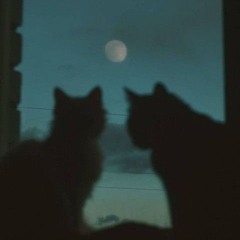 вторая половина (freaks)