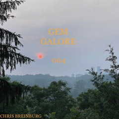 GEM GALORE 004