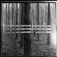 Jehzia - Go from here