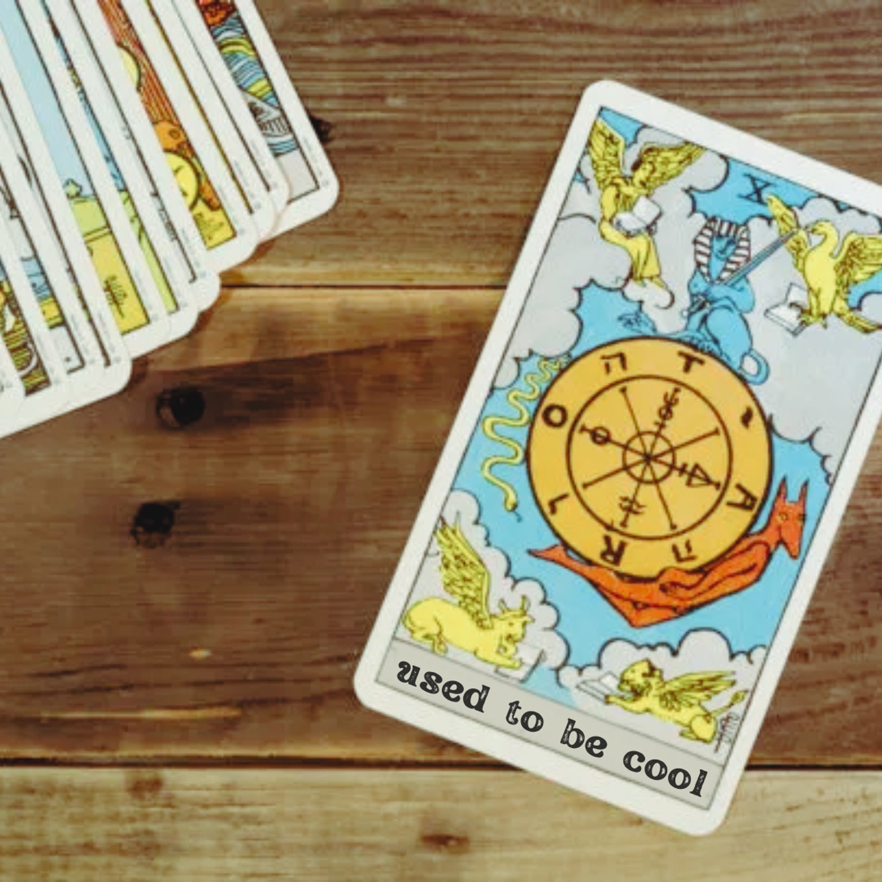 Ep32 - Wild Cards
