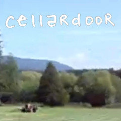 cellardoor 03.18.25