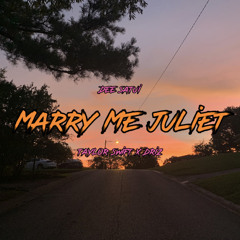 Taylor swift - marry me Juliet ft Driz [ dee satui siren mix ]