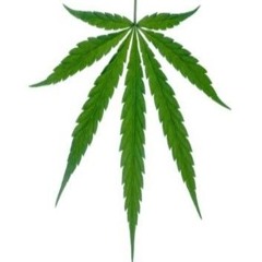 green crack