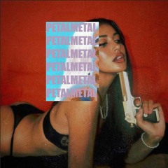 PETALMETAL ( ft. GENTRAMMEL ) (prod. r1ckxdr)