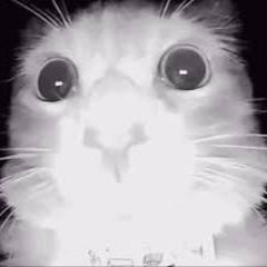 Hip Hop Beat - 79 BPM - Prod Ynishen x Atto Pilot