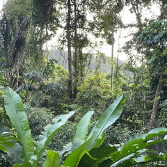 Earth’s Breath: Tabita Rezaire, 2022