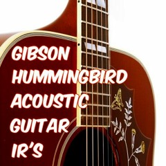 GIBSON Hummingbird IR ST OFF ON DEMO