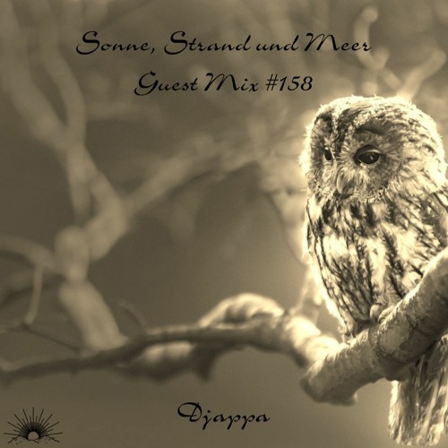 Sonne, Strand und Meer Guest Mix #158 by Djappa