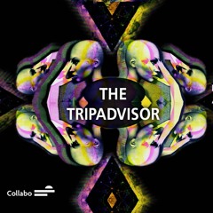 Kleiman 👾 The TripAdvisor // Collabo – 27/7 👾