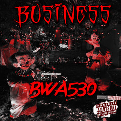 Business - BWA530