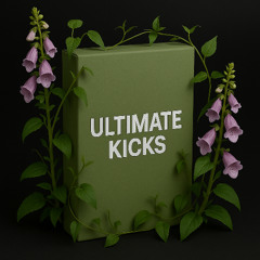 Ultimate Kicks Demo