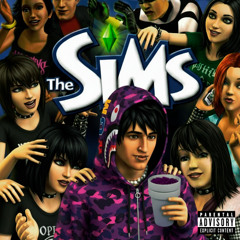 THE SIMS Prod. payback