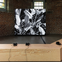 Shen Xin: Highland Embassy