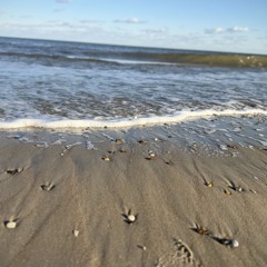 Waves At Sunrise (a binaural field recording of waves at dawn)