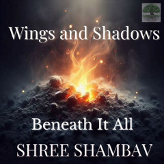 A11 - 03 - Beneath It All