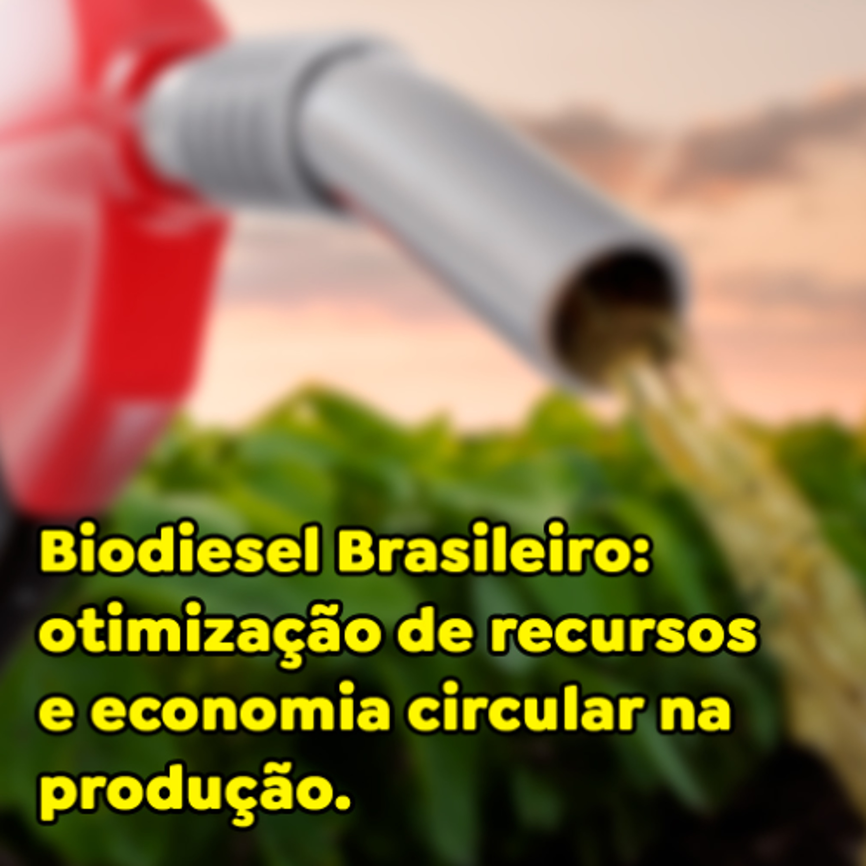 Paracatu Rural - Jornal do agronegócio