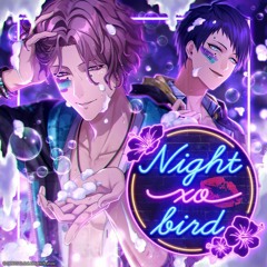 Night xo bird Game Ver.